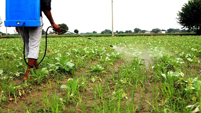 SC directs Centre to submit status report on ban of pesticides