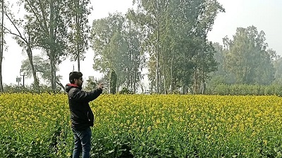 75 species of medicinal plants found in Karnal