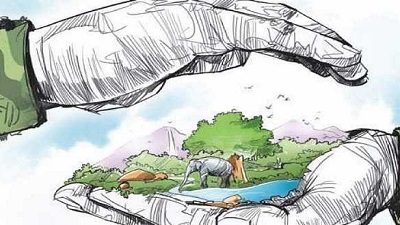 Poaching: Forest dept steps up vigil in Nilgiris