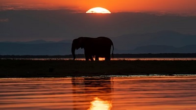 Climate change: Zambia to shut down hydropower plant as Kariba dries up