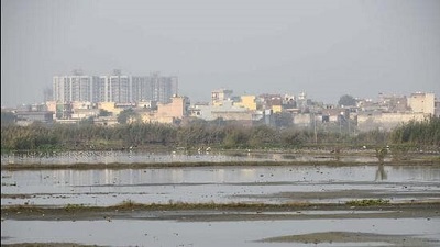 Check pollution in Najafgarh drain on war-footing, NGT tells pollution control board, state depts