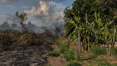 Deforestation and warming could push Amazon to tipping point by 2040s Study