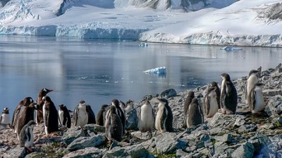 Antarctic Peninsula showed 10-fold greening since 1986 with increased warming: Study