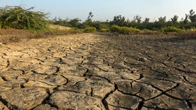 Earths desertification emergency: Around 78% land became permanently drier between 1990 and 2020