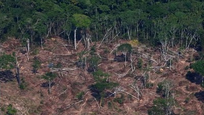 Deforestation in Brazil’s Amazon down 40% in Q1 minister says