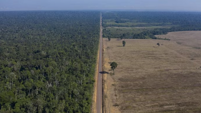 Deforestation in Brazils Amazon falls nearly 10 percent in May