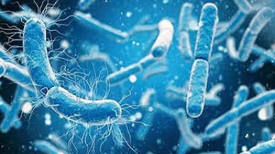Oil eating bacteria found in Nacharam set to revolutionise pollution cleanup