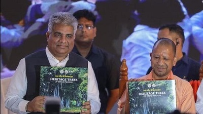 Uttar Pradesh plans to plant 350 million saplings in a day in July