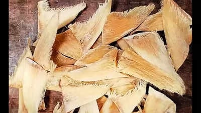 Smuggling of shark fins persists in Chennai despite export ban