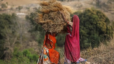 Energy and agriculture sectors lead emissions in India’s latest greenhouse gas inventory