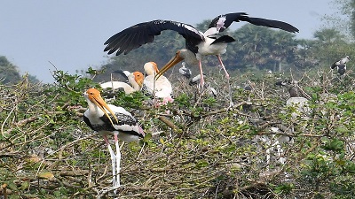 10 more Indian wetlands sites get Ramsar tag, number rises to 64
