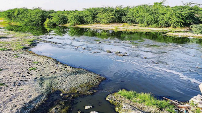 As fertile fields lie barren for 40 years, farmers seek to stop river water pollution by industries