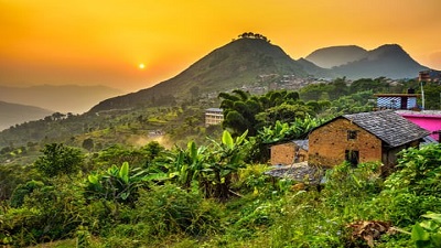 Tropical forests enter critical phase as two thirds of key biodiversity areas see temperature rise