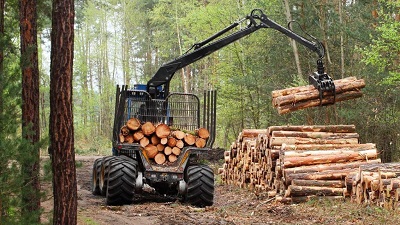 Global wood harvests will add 3.5 to 4.2 billion tonnes of CO2 yearly in coming decades: Report