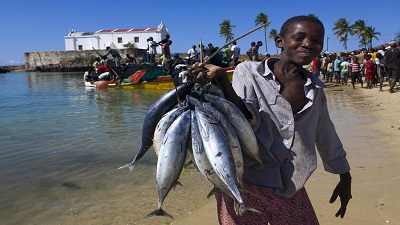 Using the ocean to fight climate change raises serious environmental justice and technical questions