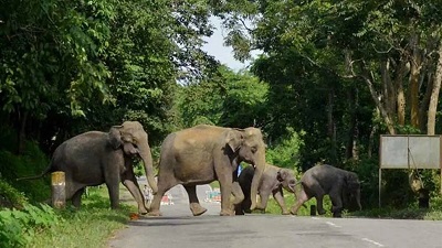 Wildlife protection amendment Bill introduced in Rajya Sabha