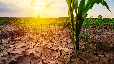 Sustainable agri systems can ward off climate change threats