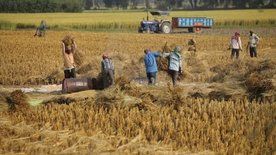 99% farmers in Haryana and MP participating in voluntary carbon market received no benefits, finds study